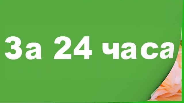 Подготовка пациента к ирригоскопии. Подготовка к рентген исследованию толстой кишки смотреть онлайн