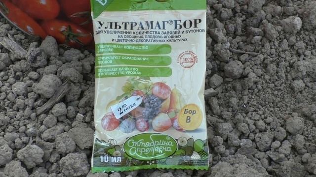 Что действительно влияет на урожай томатов смотреть онлайн