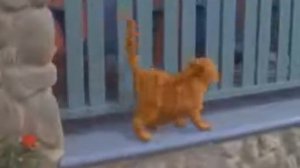 Песня эй толстый.