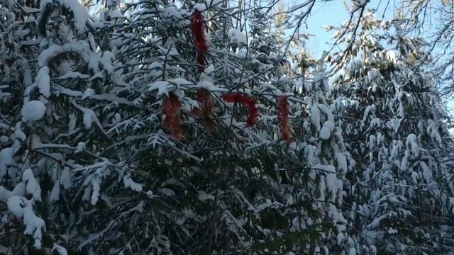 Минус восемнадцать. Лыжи не катят. Не снимал парафин с лыж. смотреть онлайн