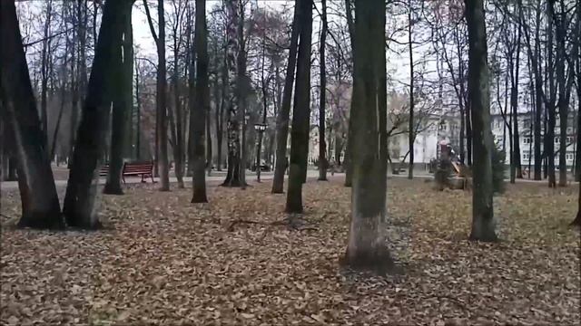 Пышные сырники на сковороде