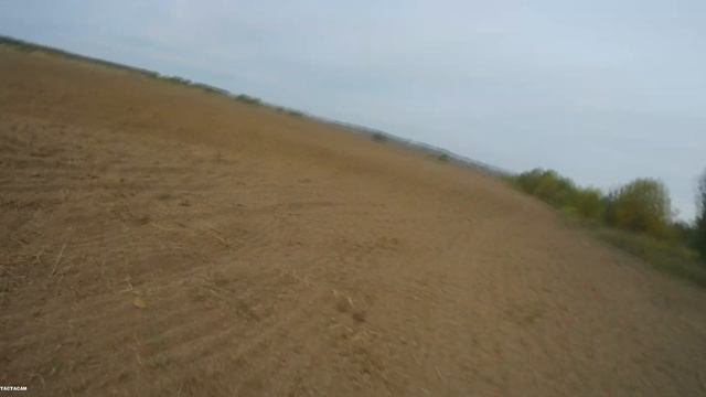 ОХОТА НА ГОЛУБЯ 2021 , ОХОТА С ОТЦОМ . НОВАЯ КАМЕРА Tactacam. смотреть онлайн