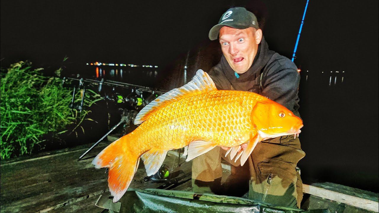 Я В ШОКЕ! САМАЯ ДОРОГАЯ РЫБАЛКА И РЫБА ДЛЯ МЕНЯ! КАРПФИШИНГ - ЛОВЛЯ КАРПА И НЕ ТОЛЬКО ч.1 смотреть онлайн