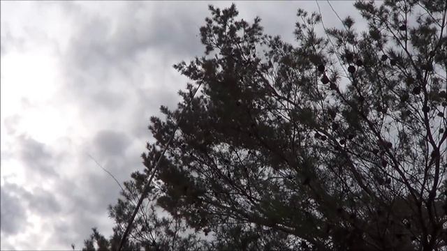 Flying the MiG-37B Ferret by "Craftydan" Crews смотреть онлайн