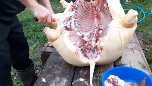 Разделка свиной туши кабана смотреть онлайн