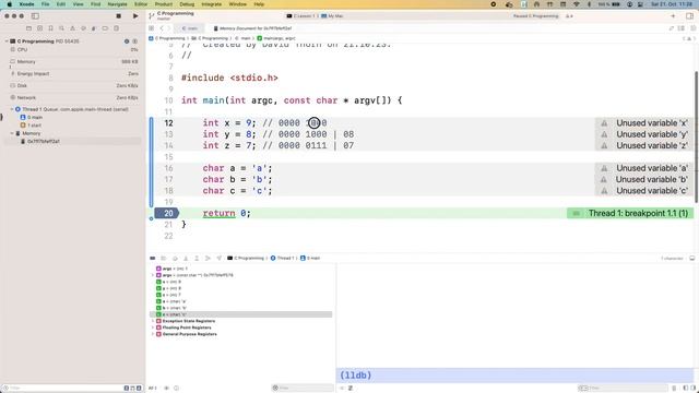 C Programming Lesson 13 - Memory Location of Int's and Char's смотреть онлайн