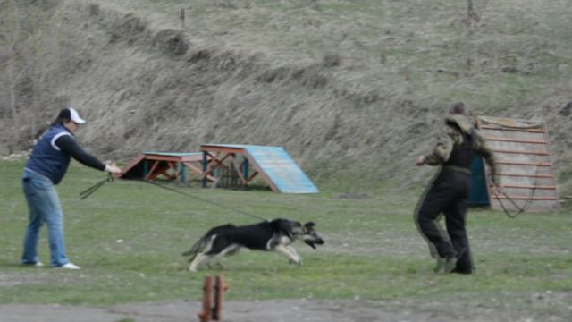 DSC_0761 смотреть онлайн