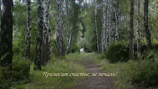 Пусть никогда в чужой стране смотреть онлайн