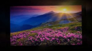 В  С  Калинников Симфония №1, II часть. Видеоролик создан учащимся 2 класса.