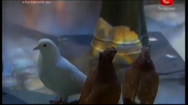 Х- фактор (X-Factor)  Алексей Кузнецов. Эфир № 9