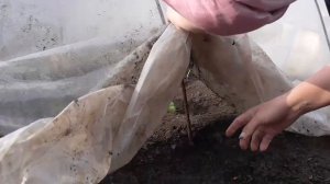 48 часов. Жидкая свеча для обогрева парника. Длительного горения