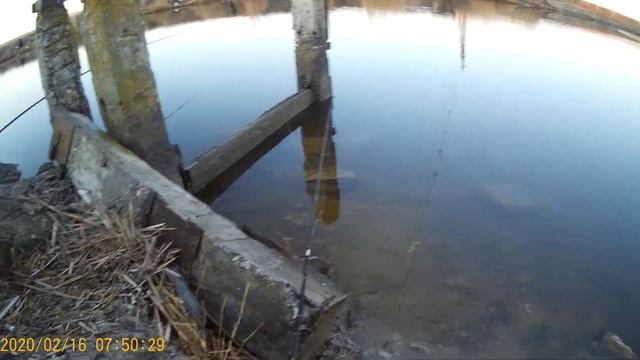 Тарань.Рыбалка в Бриньковской в феврале. смотреть онлайн