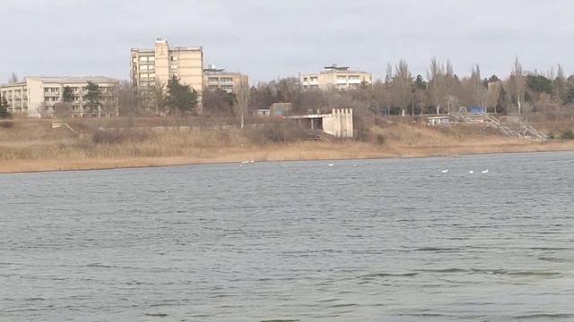 Приморск 23 января 2023г.Центральный пляж. Азовское море. смотреть онлайн