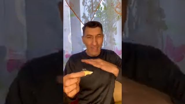 Сделайте это, чтобы картошка варилась быстрее ? смотреть онлайн