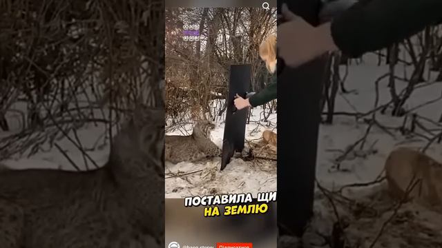 #Очень жаль но хорошо что есть такте люди🤗#flute смотреть онлайн