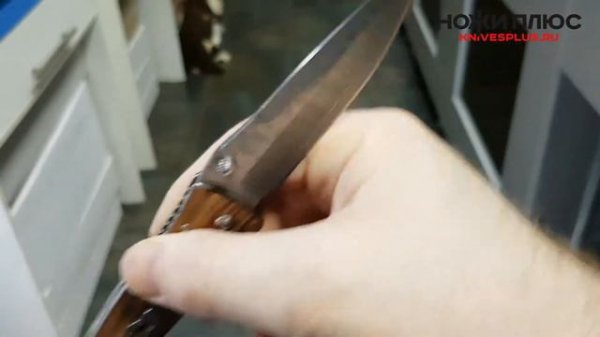 Msusta Tactility MC-0122DR