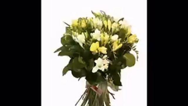 frezii смотреть онлайн