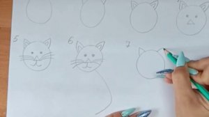 Мастер-класс «Поэтапное рисование котика простым карандашом»
