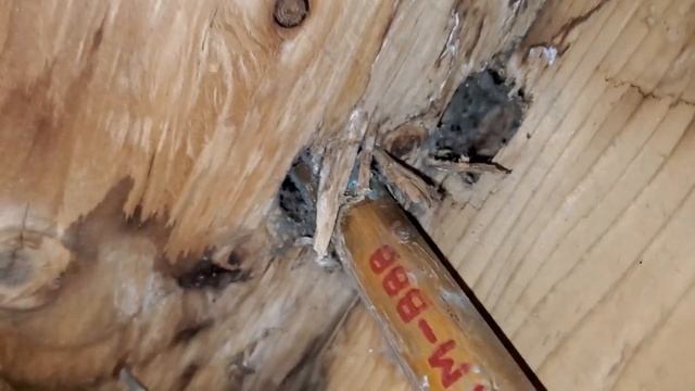 Copper Pipe Corrosion. Коррозия медных труб смотреть онлайн