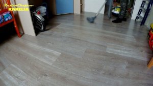 Моющий пылесос Zelmer Aquawelt Plus / Сухая уборка с аквафильтром