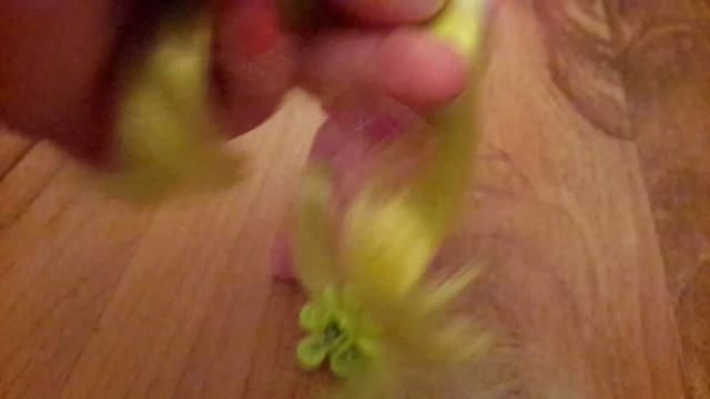 Как сделать прическу для пони смотреть онлайн