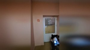 Подняться на 25 этаж, ответить на все вопросы и раскрыть тему, смогу ли я? Сложное Просто. Серия 1