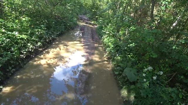 Путешествие к Гатчинским гейзерам \ Интересные места Ленинградской области \ Как добраться? смотреть онлайн