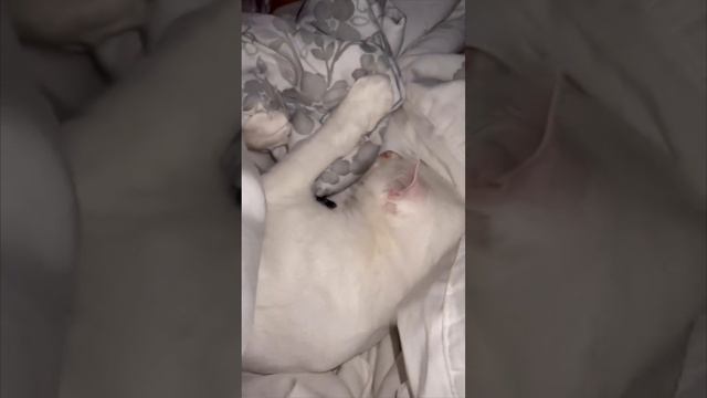 Приколы и не только!))).