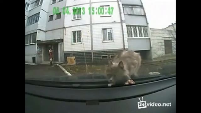 Прикол Упали смотреть онлайн