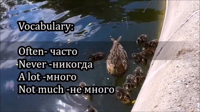 Английский с нуля. Вопросы и ответы на английском. Тема " My Day" смотреть онлайн