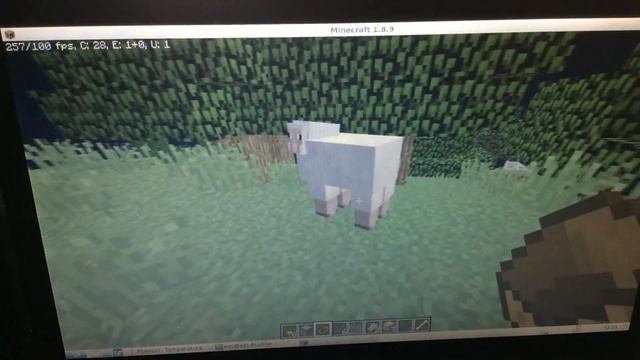 Minecraft 1.8.9 On Intel Core I3-2350M