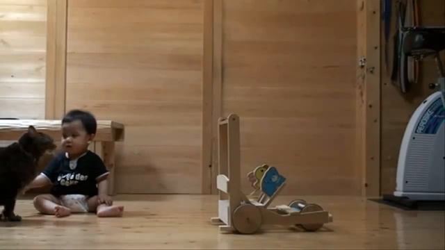 Кот и Ребенок учится ходить смотреть онлайн