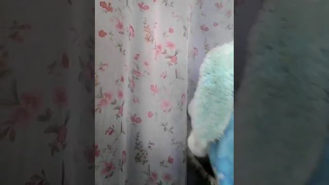 Вот что значит ДРУЖБА!!!! смотреть онлайн