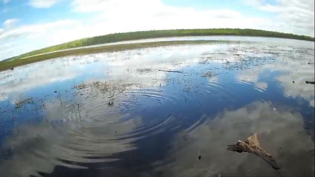 ЧТО ОНИ ТУТ ВСЕ ДЕЛАЮТ??ТУТ РЫБЫ УЖЕ НЕТУ!! смотреть онлайн