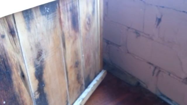 Чем красить ульи смотреть онлайн