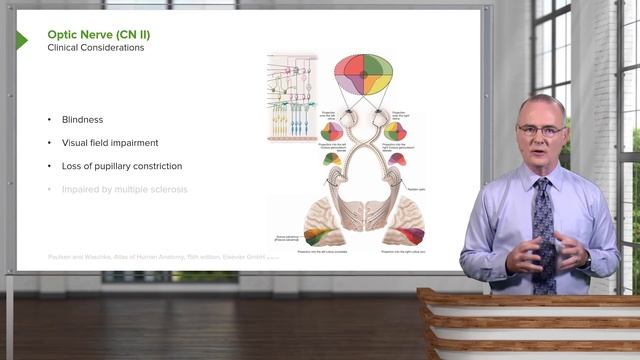 01.03 Cranial Nerve II Optic Nerve