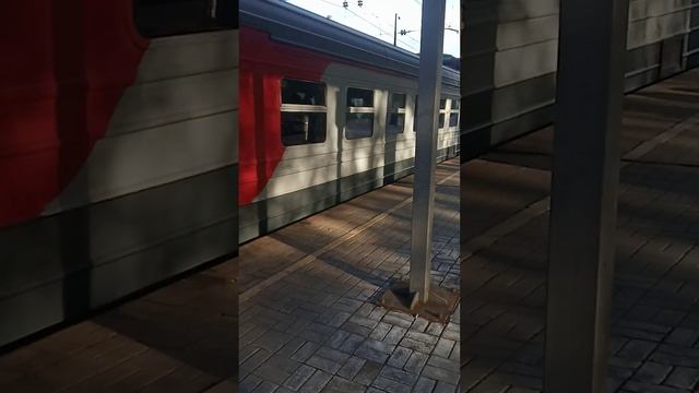 Прибытие ЭД4М на станцию Бирюлёво-Пассажирское и заезд в тупик за станцией, Павелецкое направление смотреть онлайн