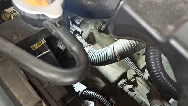 automovil Nissan Tiida año 2011 ubicación número de motor vin improntas chasis carrocería serie смотреть онлайн