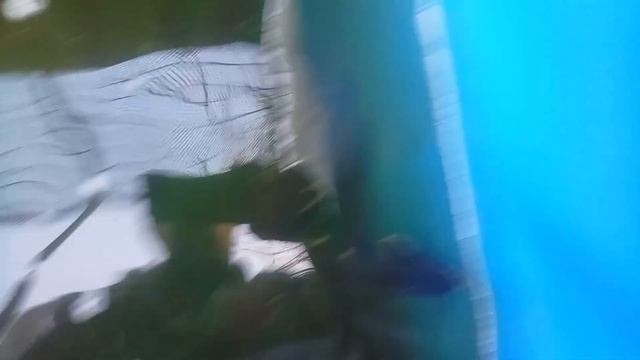 Разведение осетровых. Последнее видео 2021. смотреть онлайн