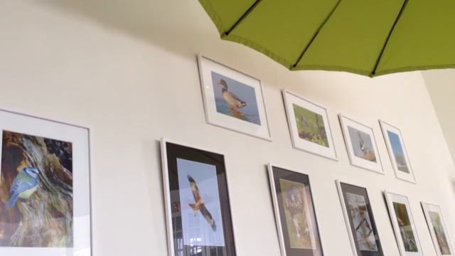 Gittan Jönsson om Marta Abrahamsson Brantevik Uppläsning Ka смотреть онлайн