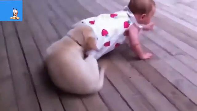 животные и дети смотреть онлайн