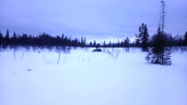 Снегоход BRP Ski-Doo Tundra WT-550 смотреть онлайн