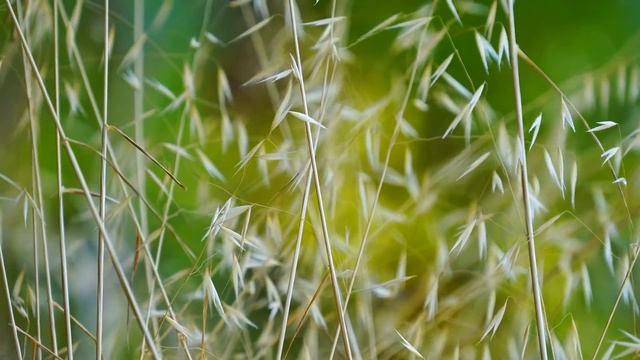 ⚠️ Почему в феврале всего 28 или 29 дней - факты и народные приметы о самом коротком месяце смотреть онлайн