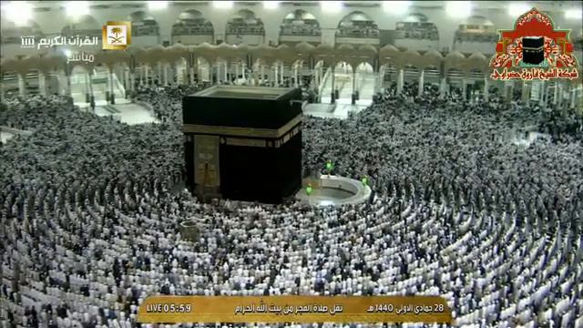 Сура аль Мулк шайх Сауд шурайм смотреть онлайн