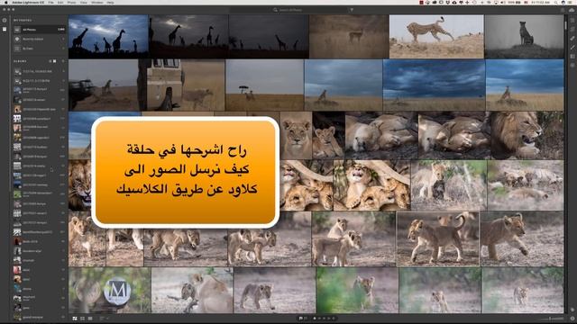 lightroom Classic VS Lightrrom CC - ما الفرق بين اصدارات لايتروم الجديدة смотреть онлайн