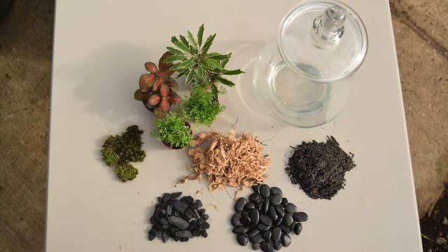 LSU AgCenter Botanic Gardens Green Stick Workshop: Houseplants 101 смотреть онлайн