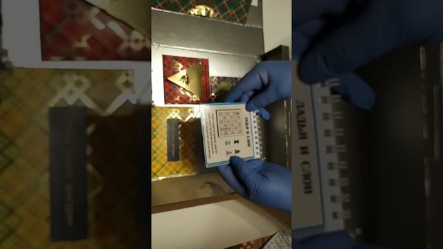 Григорьев Виктор МБДОУ д/с №89 "Парус" старшая группа "Дюймовочка" Лэпбук "Шахмат" смотреть онлайн