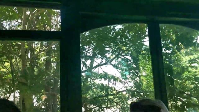 На Приморском бульваре заработал фуникулёр смотреть онлайн