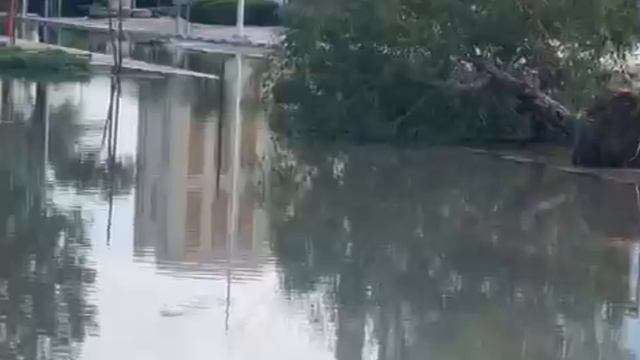 17-11-2023 Дубай вновь затопило. смотреть онлайн