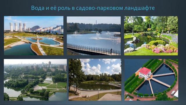 Лекция №2 Основные компоненты ландшафтной композиции смотреть онлайн